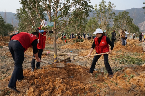 臺(tái)州所 植樹現(xiàn)場(chǎng)3_副本.jpg